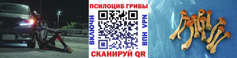 закладки Вичуга Галлюциногенные грибы мухоморы